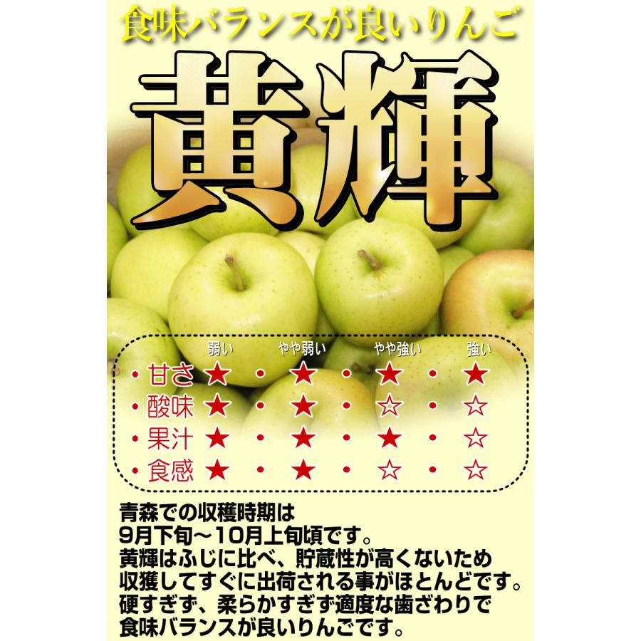 青森 りんご 10kg箱 訳あり サンふじはじめ選べる品種 送料無料 10キロ