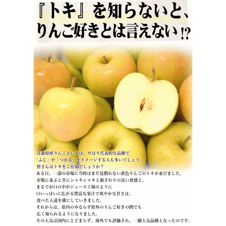 最終セール 青森 りんご 10kg箱 小トキ 送料無料 サンふじと王林の交配