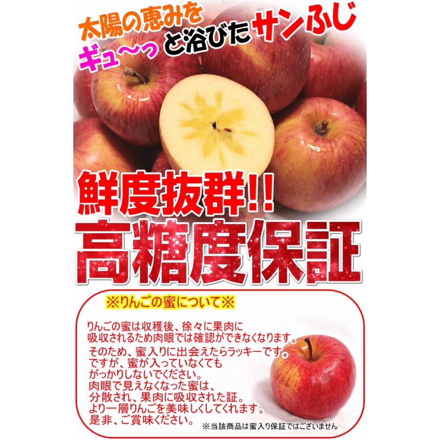 クーポンで10%引き！青森 りんご 10kg箱 訳あり/家庭用 サンふじ 送料