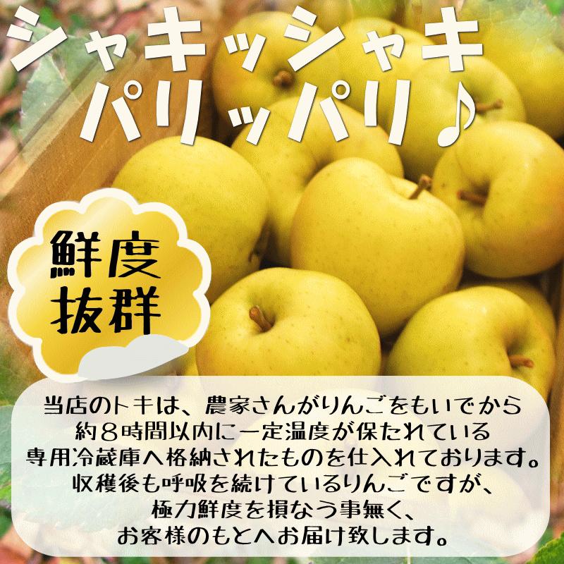 最終セール 青森 りんご 10kg箱 小トキ 送料無料 サンふじと王林の交配