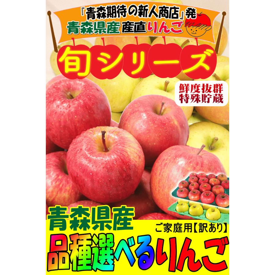 りんご 5kg箱 家庭用/訳あり 青森 リンゴ 5キロ箱 サンふじと選べる