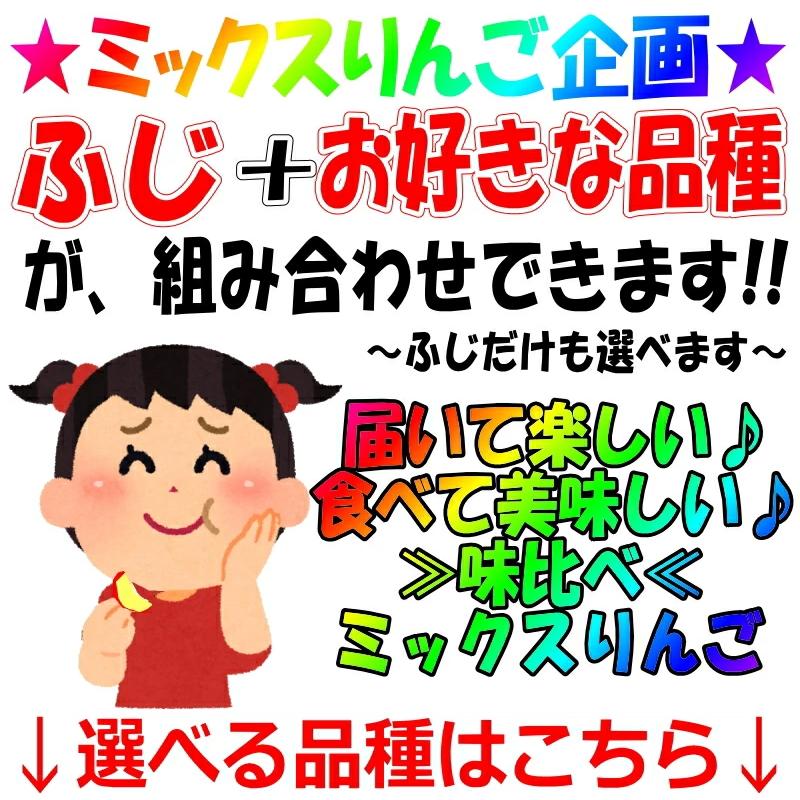 りんご 5kg箱 家庭用/訳あり 青森 リンゴ 5キロ箱 サンふじと選べる