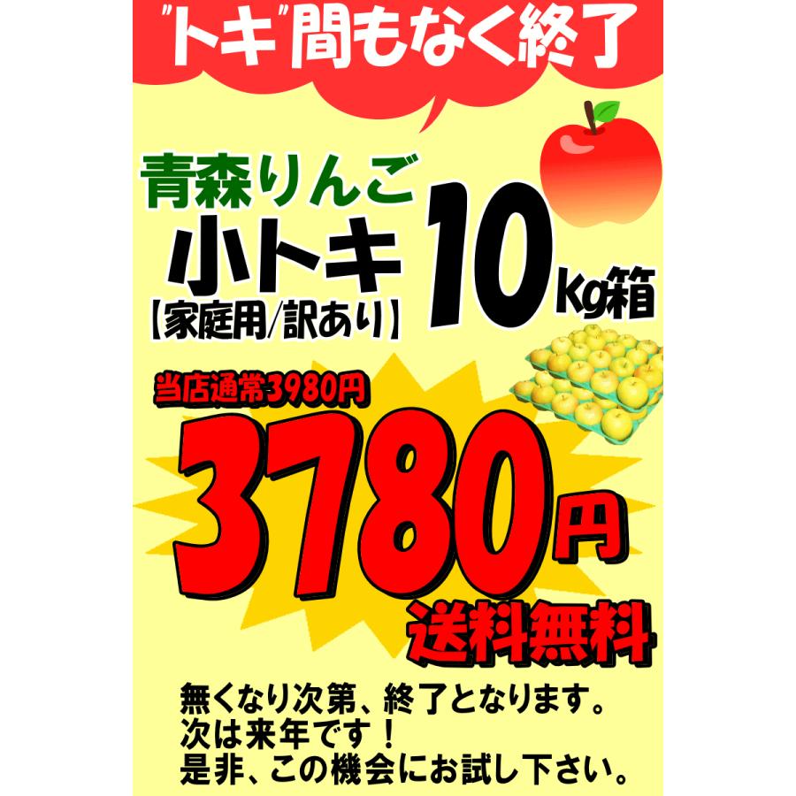 青森 りんご 10kg箱 小トキ 送料無料 サンふじと王林の交配種 家庭用