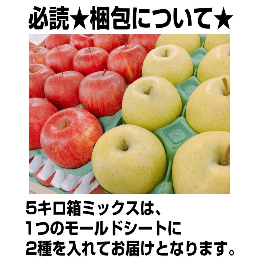 りんご 5kg箱 家庭用/訳あり 青森 リンゴ 5キロ箱 サンふじと選べる