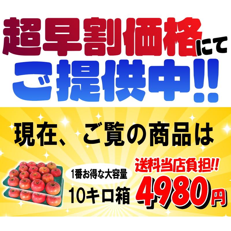クーポンで10%引き！青森 りんご 10kg箱 訳あり/家庭用 サンふじ 送料