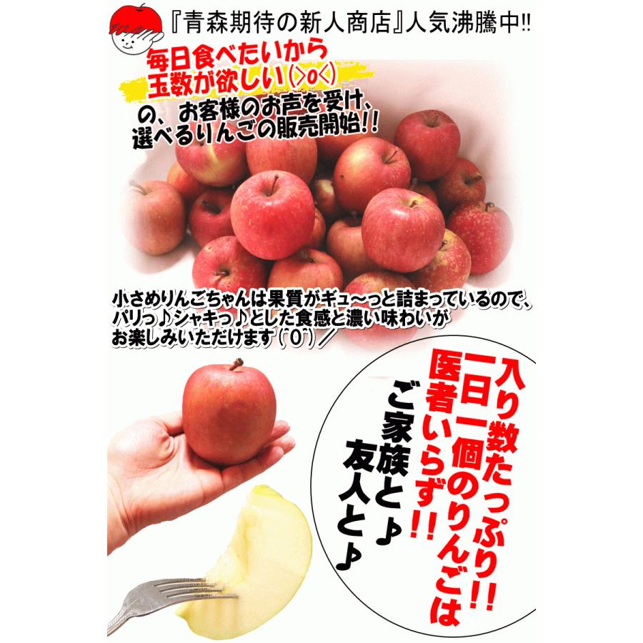 300円引き あすつく りんご 10kg箱 サンふじ 訳あり クール便対応 鮮度抜群 青森 リンゴ 10キロ箱 大小様々 R02 青森期待の新人商店 通販 Yahoo ショッピング
