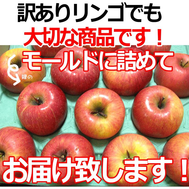 クーポンで10%引き！青森 りんご 10kg箱 訳あり/家庭用 サンふじ 送料