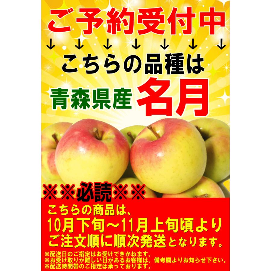 クーポンで10％引き！りんご 10kg箱 ぐんま名月 家庭用/訳あり 青森