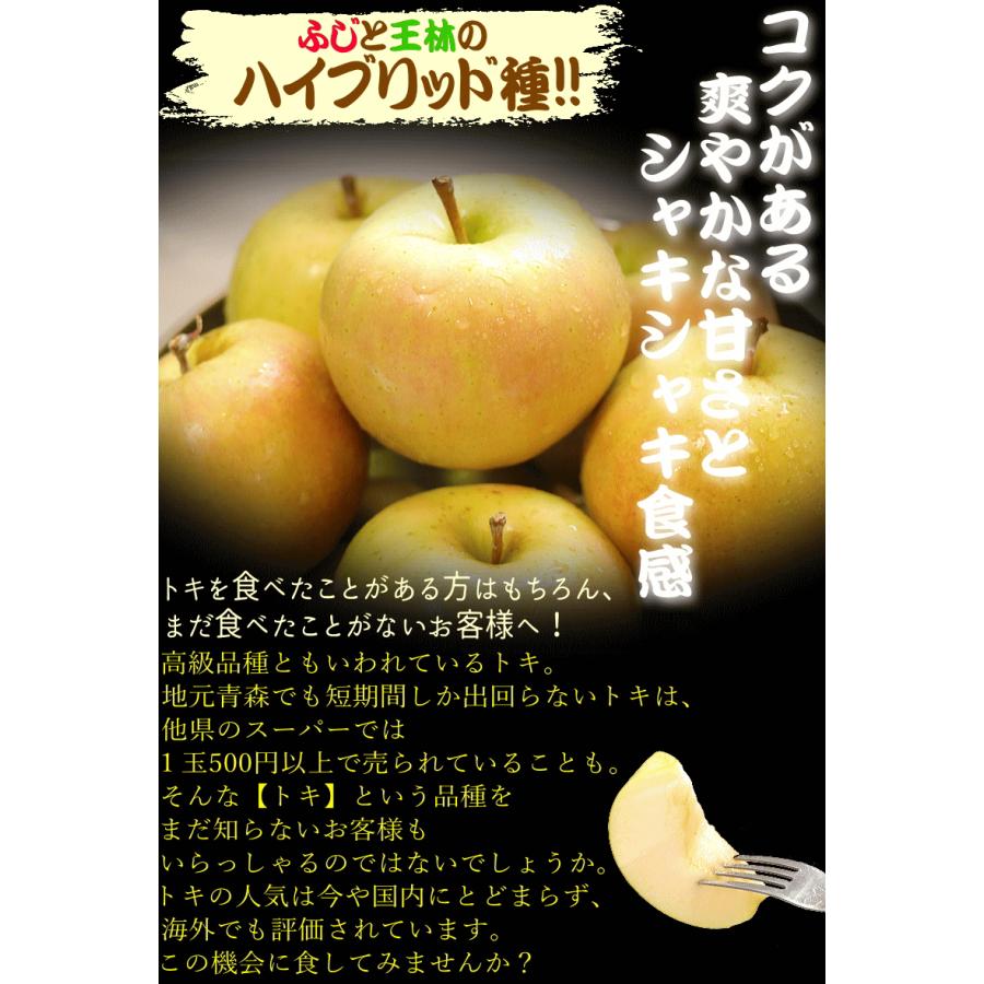 青森 りんご 10kg箱 小トキ 送料無料 サンふじと王林の交配種 家庭用