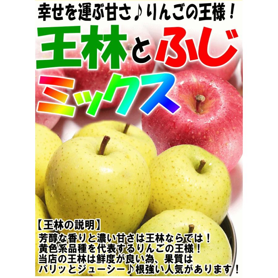 りんご 5kg箱 家庭用/訳あり 青森 リンゴ 5キロ箱 サンふじと選べる