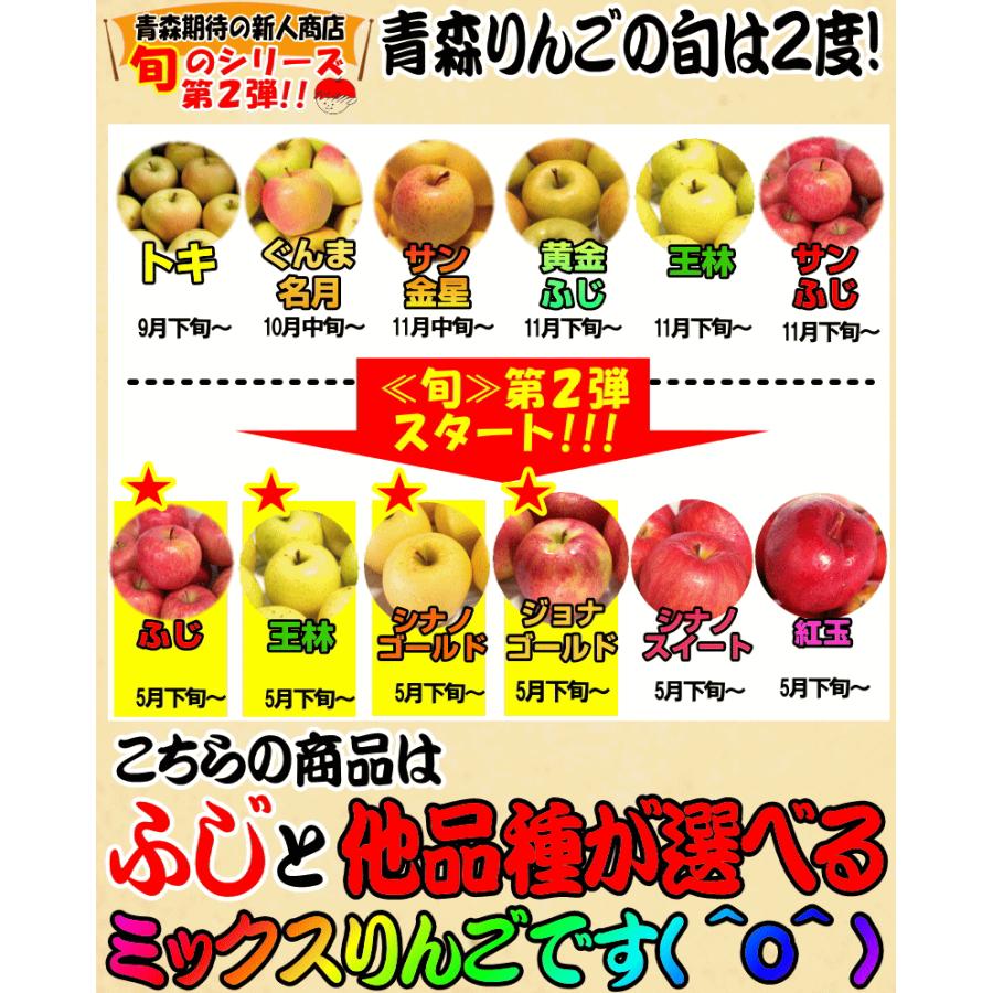 りんご 5kg箱 家庭用/訳あり 青森 リンゴ 5キロ箱 サンふじと選べる