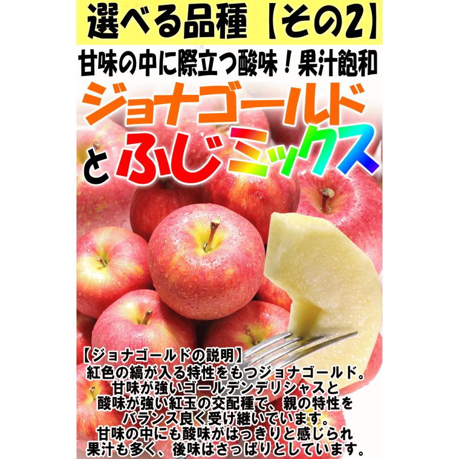 りんご 5kg箱 家庭用/訳あり 青森 リンゴ 5キロ箱 サンふじと選べる
