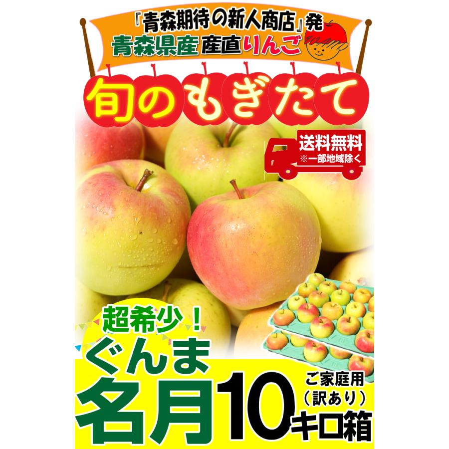 クーポンで10％引き！りんご 10kg箱 ぐんま名月 家庭用/訳あり 青森