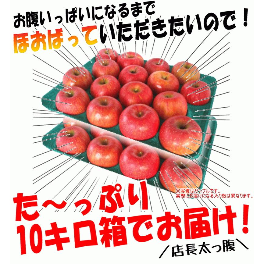 あすつく りんご 10kg箱 ふじと選べる品種ミックス 送料無料 りんご ちょこっと訳あり 鮮度抜群 青森 リンゴ 10キロ箱 大小様々 R02 青森期待の新人商店 通販 Yahoo ショッピング