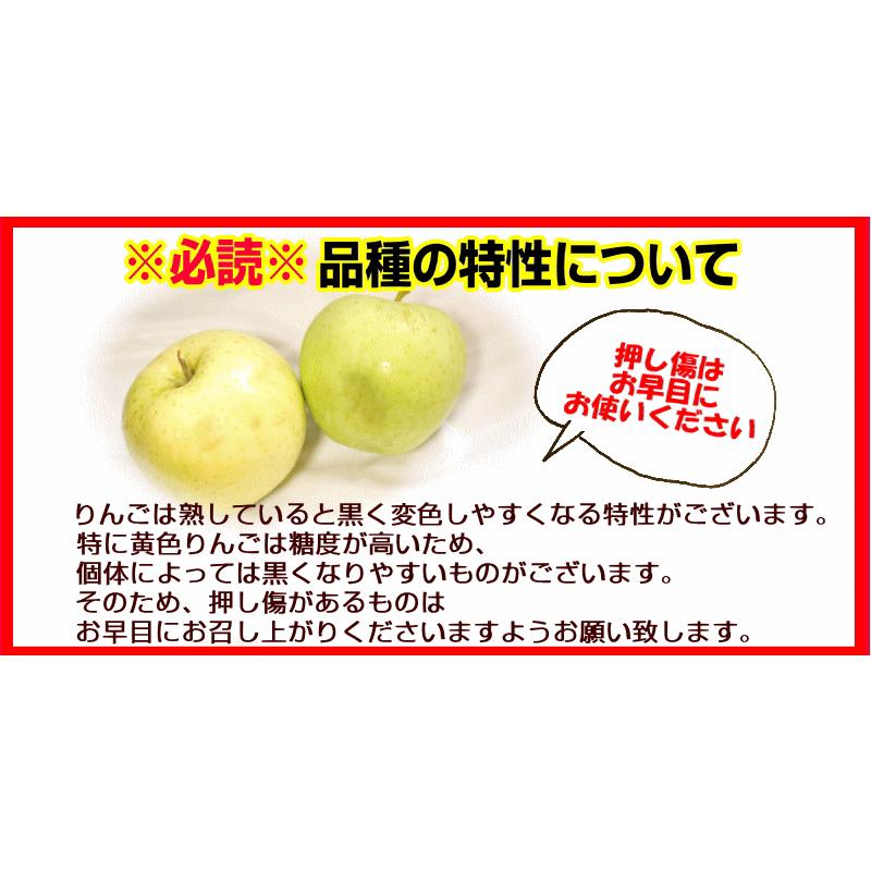 あすつく 青森 お気に入り りんご 王林 ５kg箱 幸せを運ぶ甘さと芳醇な香り 5キロ箱 クール便対応 林檎 ご家庭用