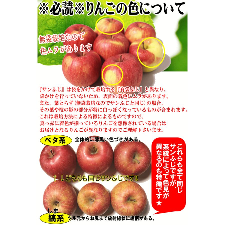 青森 りんご 10kg箱 家庭用 高糖度サンふじ クール便対応 / 常温 青森 りんご 10kg箱 家庭用 高糖度サンふじ クール便対応 / 常温