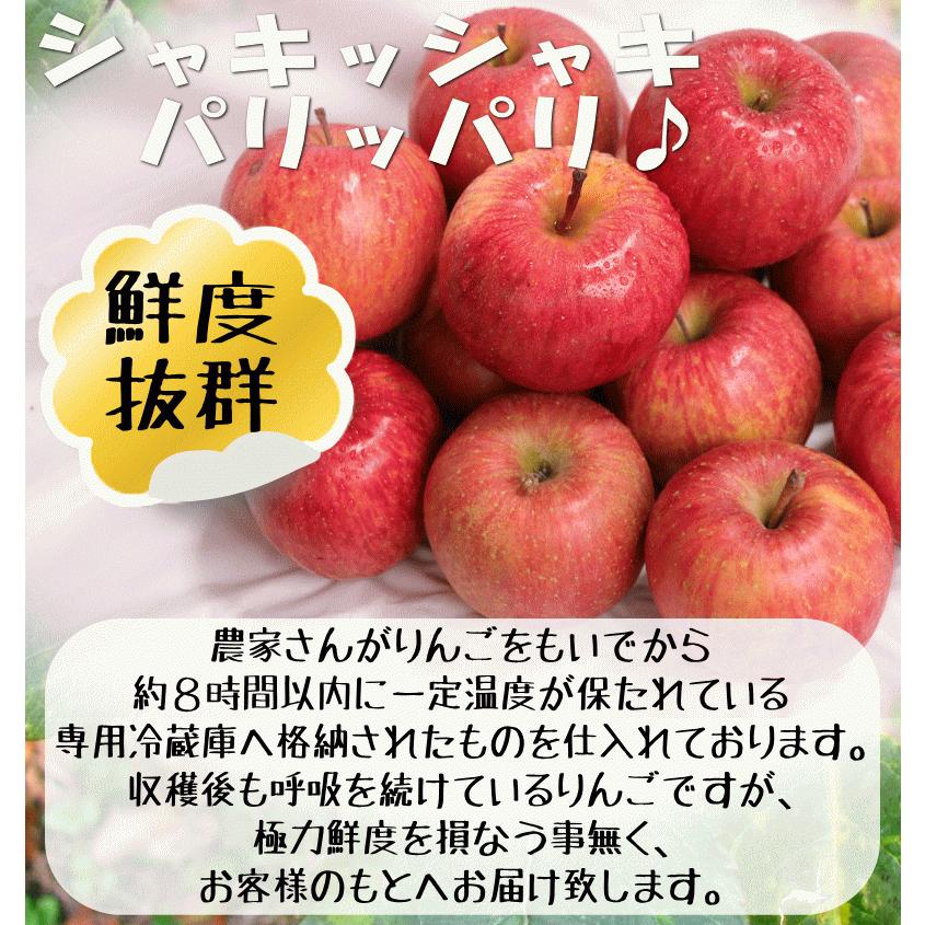 あすつく 青森 りんご 10kg箱 サンふじ 家庭用 クール便 送料無料 リンゴ 訳あり 10キロ箱★サンふじ 家 10kg箱｜world-wand｜17