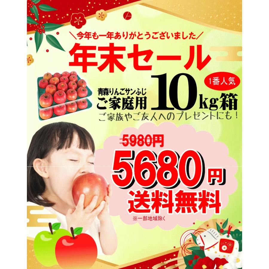 年末セール 青森 りんご 10kg箱 サンふじ 家庭用 送料無料 リンゴ 訳