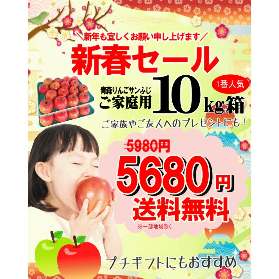 年末セール 青森 りんご 10kg箱 サンふじ 家庭用 送料無料 リンゴ 訳