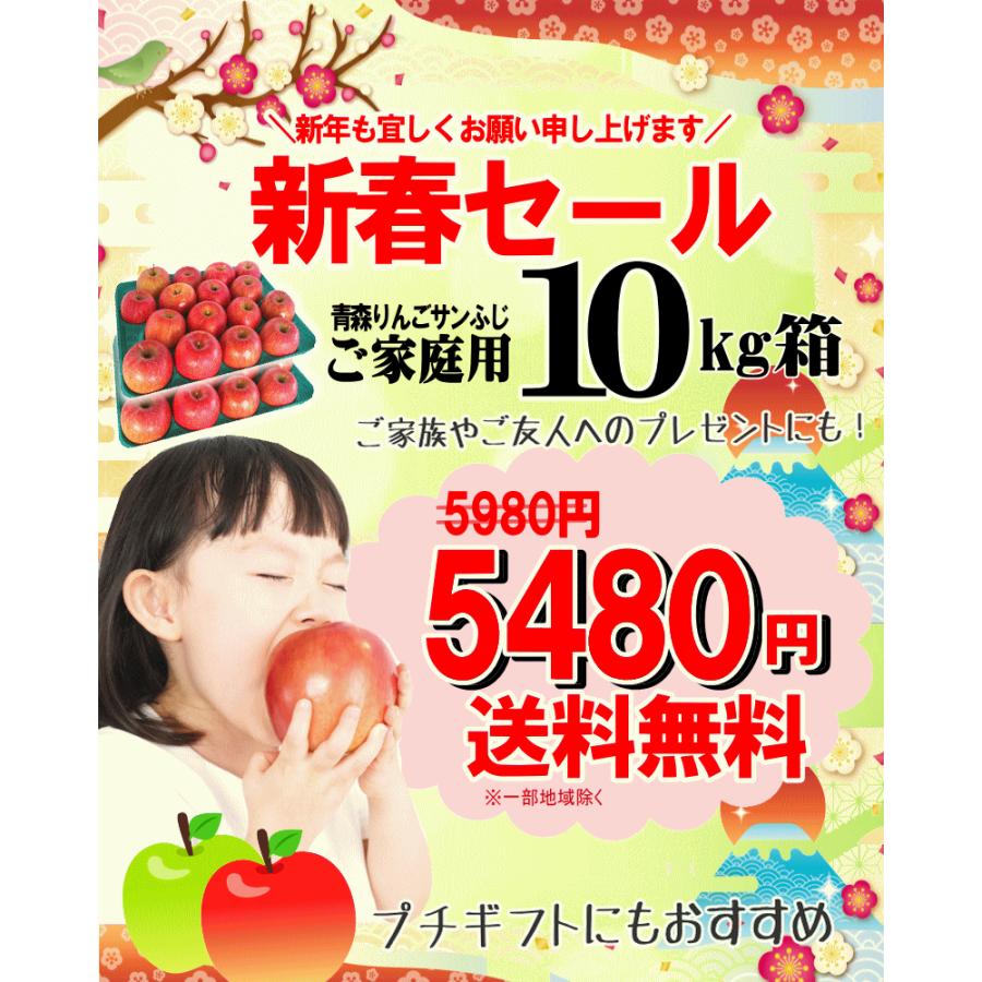 青森 りんご 10kg箱 サンふじ 家庭用 送料無料 リンゴ 訳あり 10キロ箱
