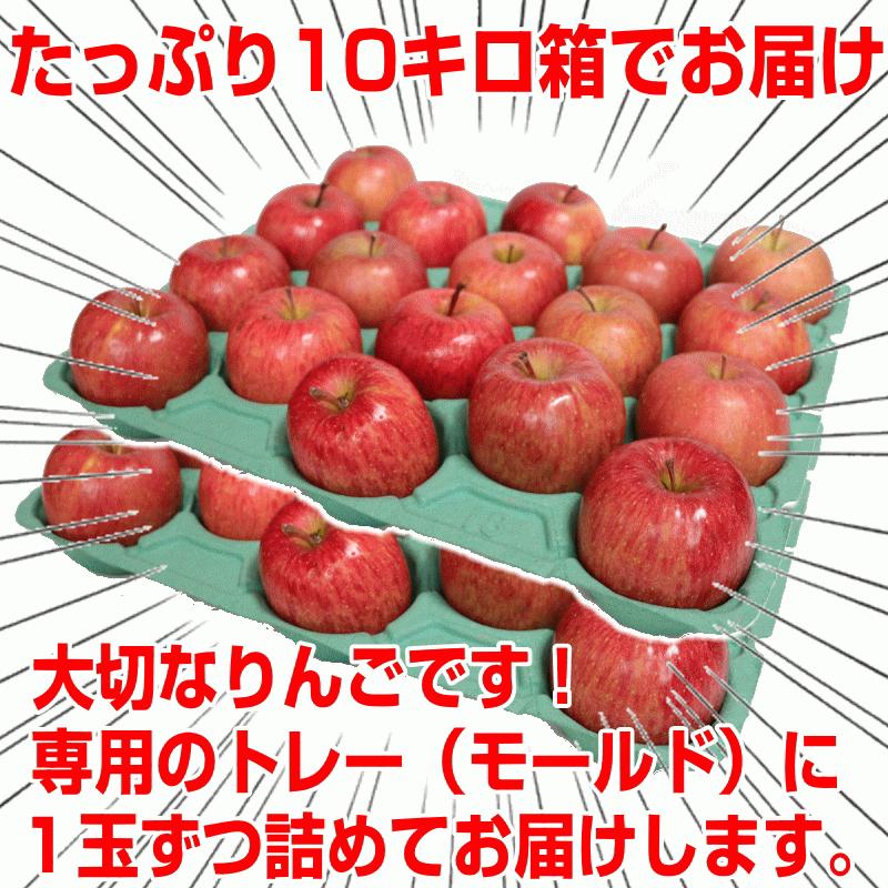 あすつく 青森 りんご 10kg箱 サンふじ 家庭用 クール便 送料無料 リンゴ 訳あり 10キロ箱★サンふじ 家 10kg箱｜world-wand｜08