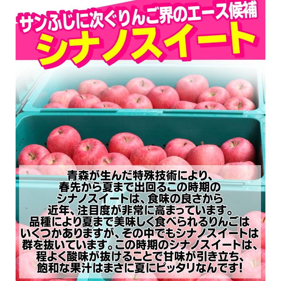 クーポンで10%引き！即日発送！りんご 10kg箱 青森 シナノスイート