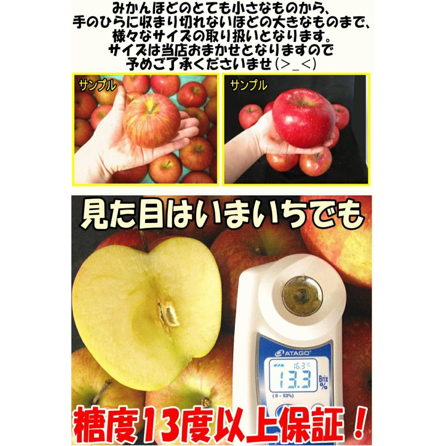 クーポンで10%引き！即日発送！りんご 3kg箱 青森 シナノスイート 家庭用/訳あり 送料無料 青森 リンゴ 訳あり 3キロ箱★スイート 家訳 3kg箱 |  | 14
