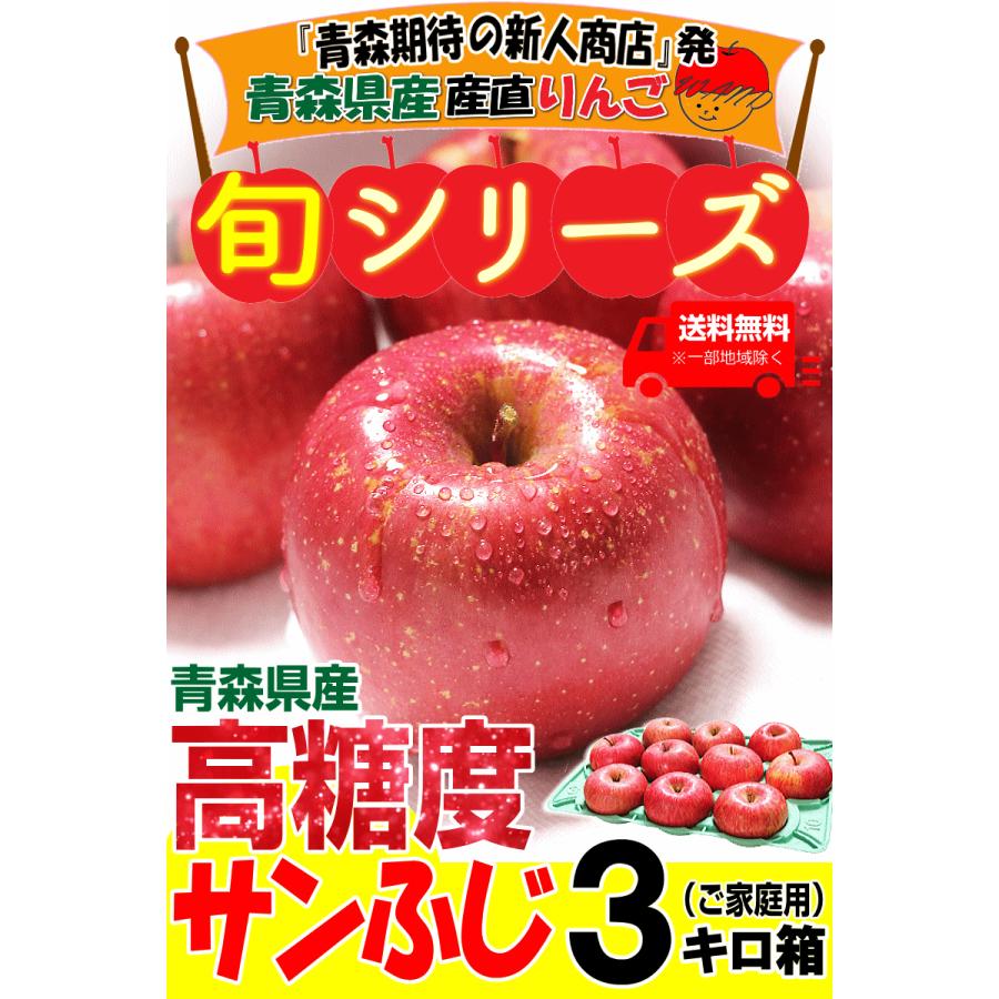 長野県南信州産【サンふじ】３kg✕３箱 送料無料】りんご サンふじ 秀品 約3kg