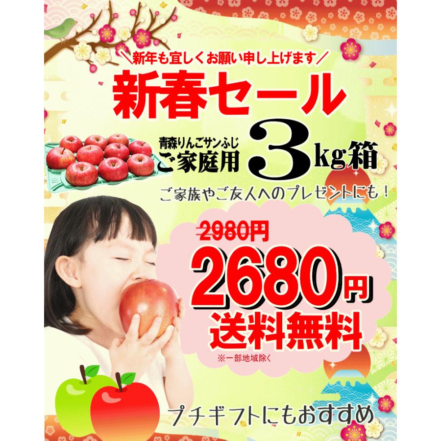 青森 りんご 3kg箱 サンふじ 家庭用 送料無料 リンゴ 訳あり 3キロ箱
