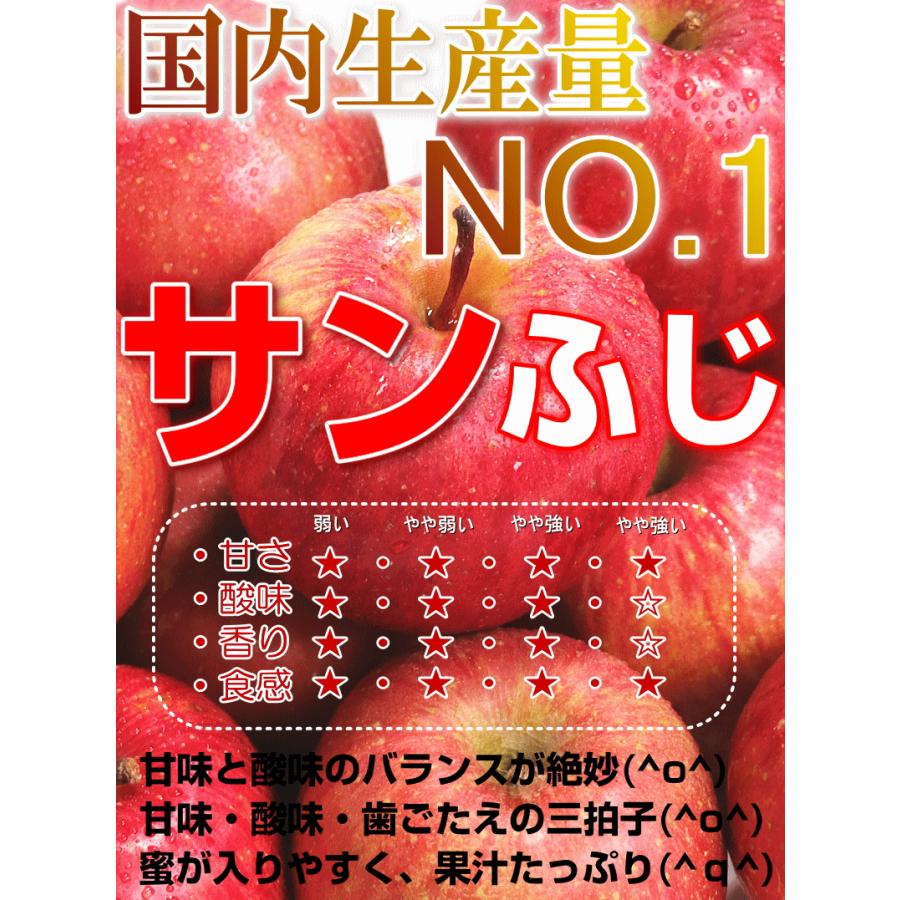 りんご 3kg箱 家庭用 青森 リンゴ 3キロ 高糖度 サンふじ 送料無料