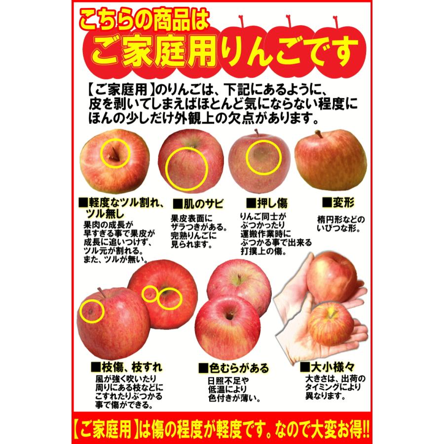 りんご 3kg箱 家庭用 青森 リンゴ 3キロ 高糖度 サンふじ 送料無料