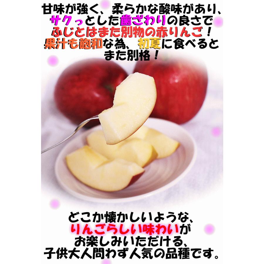 クーポンで10%引き！即日発送！りんご 3kg箱 青森 シナノスイート 家庭用/訳あり 送料無料 青森 リンゴ 訳あり 3キロ箱★スイート 家訳 3kg箱 |  | 09