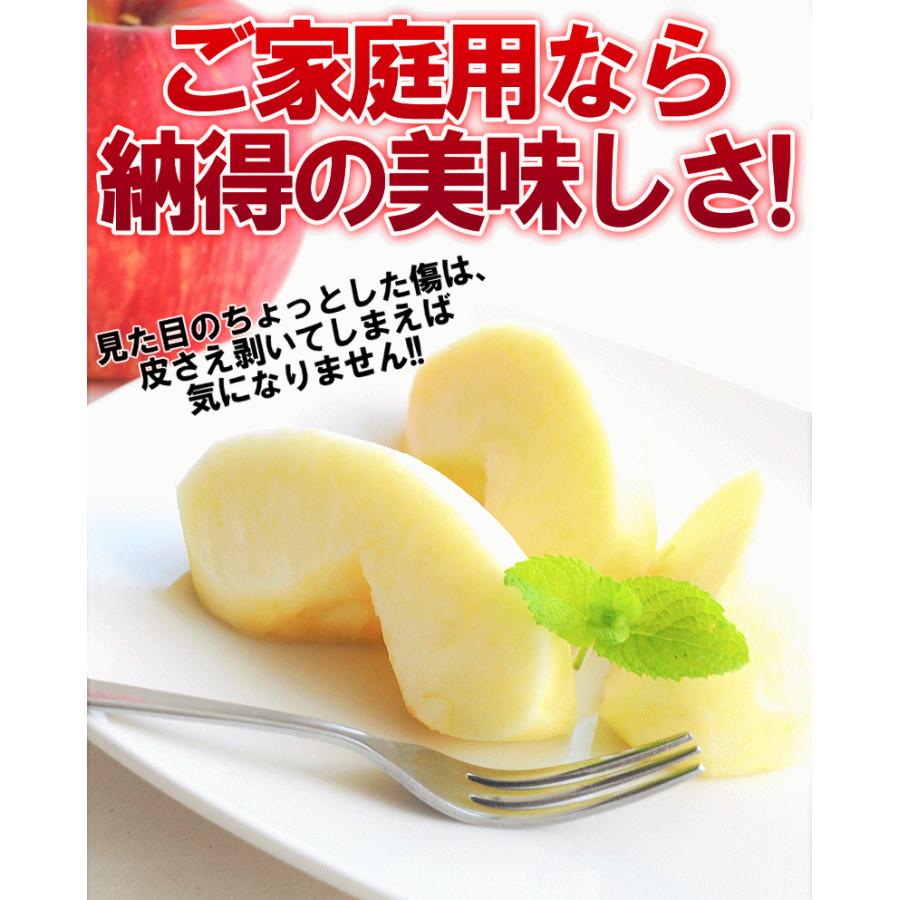 セール！りんご 5kg箱 青森 リンゴ サンふじ 家庭用 送料無料 リンゴ 訳あ り 5キロ箱 ギフト★サンふじ 家 5kg箱 |  | 15