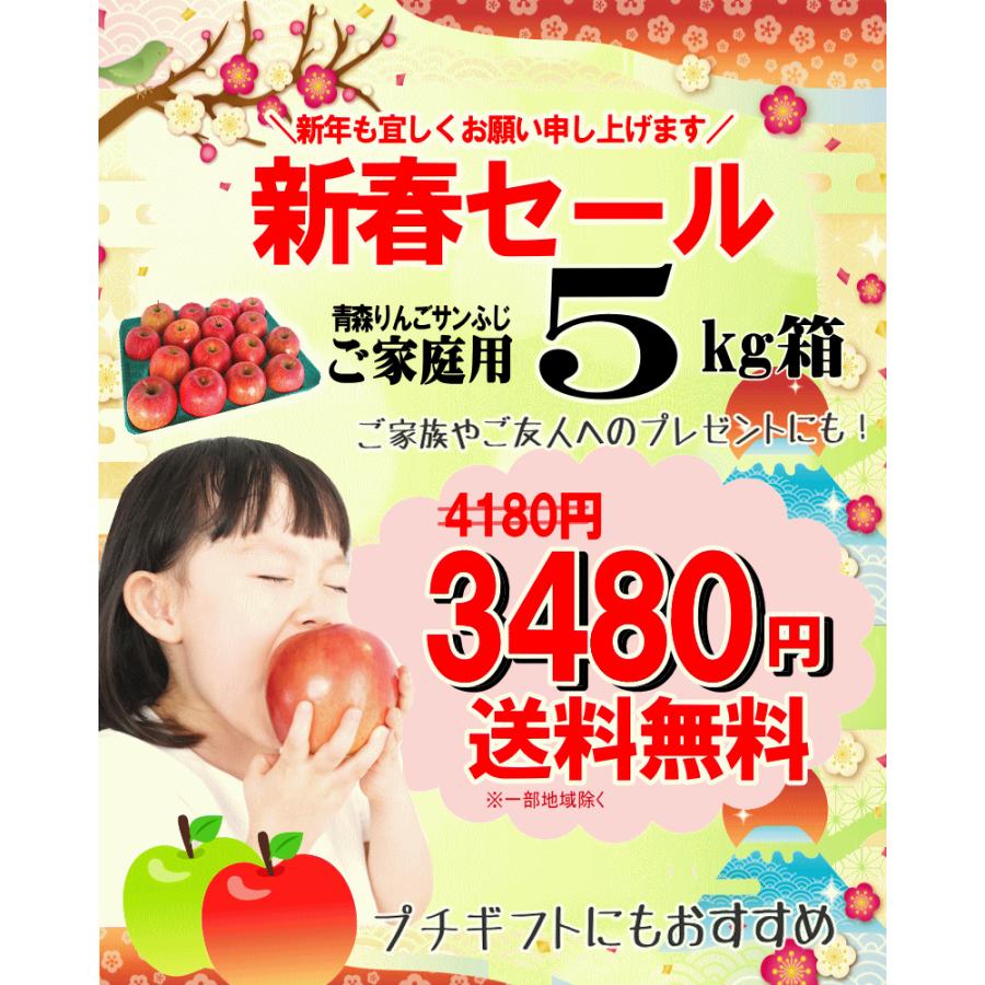 青森 りんご 5kg箱 サンふじ 家庭用 送料無料 リンゴ 訳あ り 5キロ箱