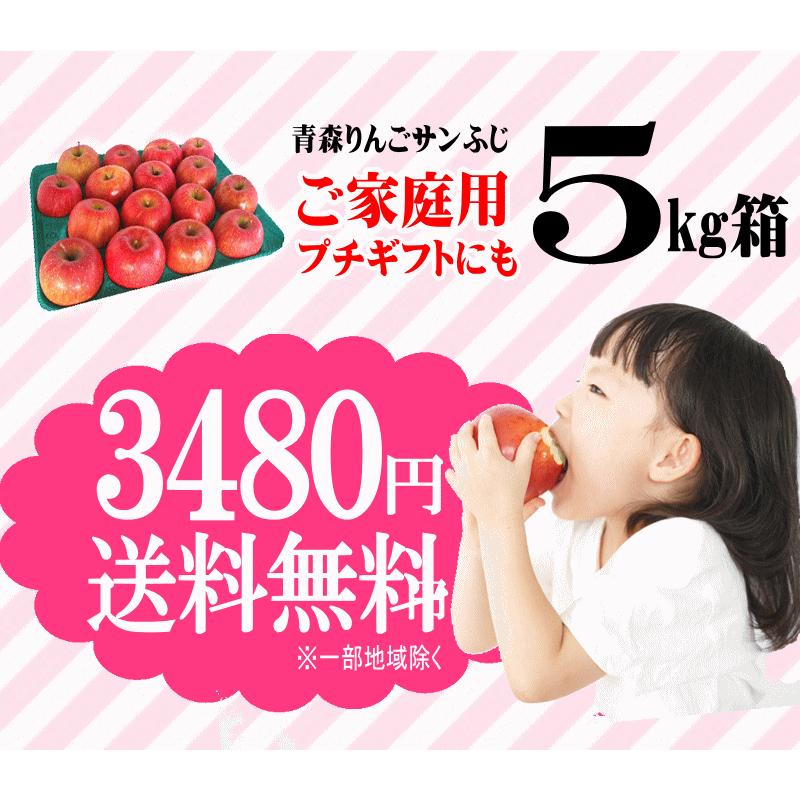 セール！りんご 5kg箱 青森 リンゴ サンふじ 家庭用 送料無料 訳あ り