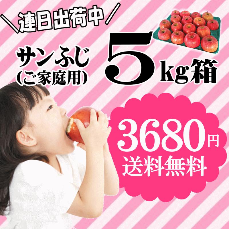 セール！りんご 5kg箱 青森 リンゴ サンふじ 家庭用 送料無料 リンゴ 訳あ り 5キロ箱 ギフト★サンふじ 家 5kg箱 |  | 02