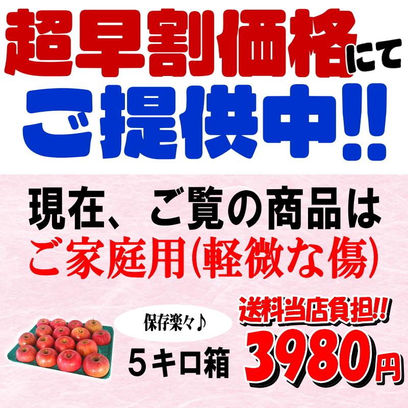 クーポンで10%引き！青森 りんご 5kg箱 サンふじ 家庭用 送料無料 青森