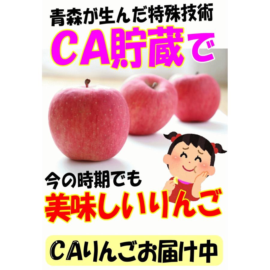 青森 りんご 5kg箱 金星 有袋 樹上完熟栽培 家庭用/訳あり