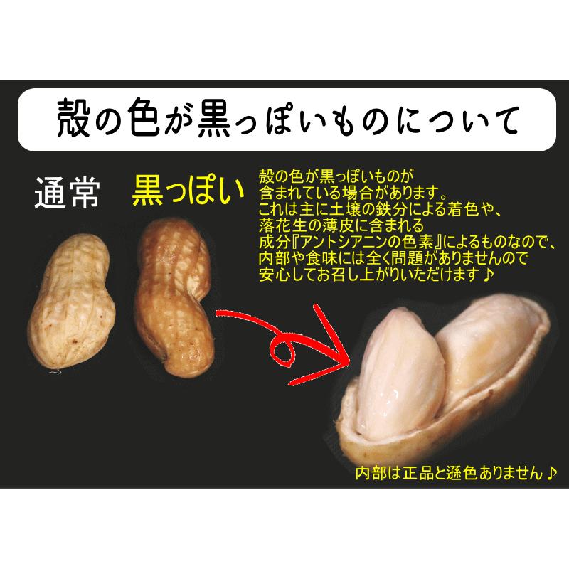 2kgで2980円！即日発送☆ピーナッツ 生落花生 1kg 千葉産 おお