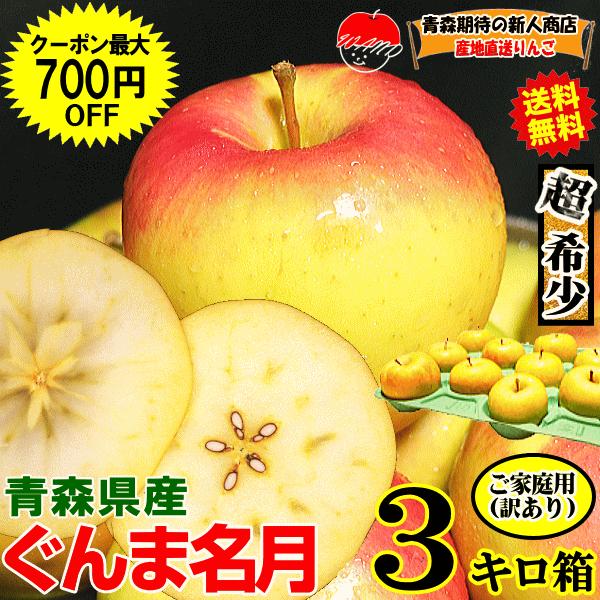 りんご 3kg箱 ぐんま名月 家庭用/訳あり 青森 リンゴ 名月 3キロ 送料