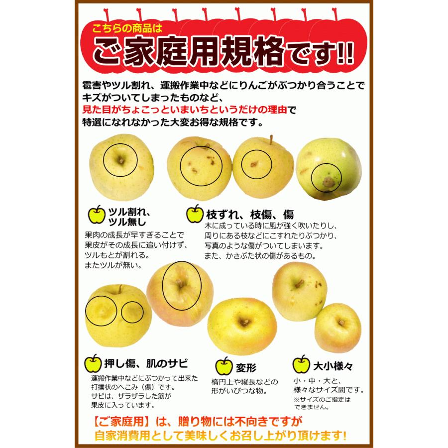 りんご 3kg箱 ぐんま名月 家庭用/訳あり 青森 リンゴ 名月 3キロ 送料