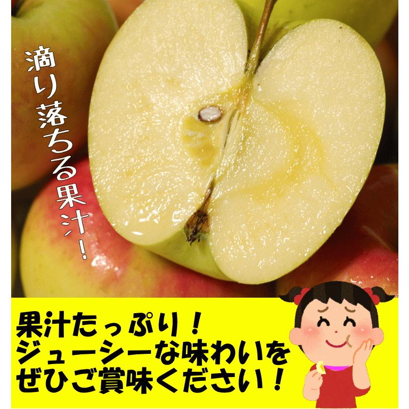 あすつく 青森 りんご 3kg箱 ぐんま名月 送料無料 家庭用/訳あり 青森 リンゴ 訳あり 3キロ箱★名月 家訳 3kg箱｜world-wand｜15