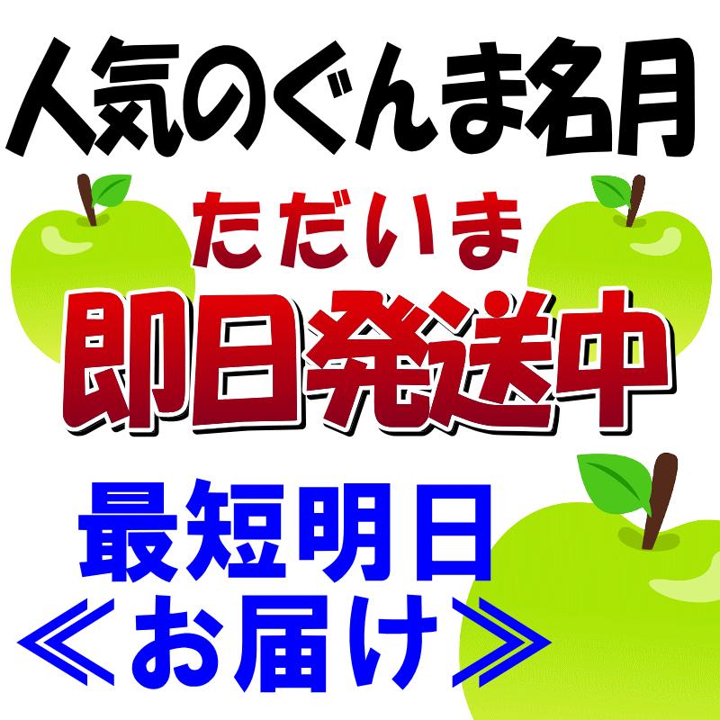 クーポン10％引き！即日発送 青森 りんご 3kg箱 ぐんま名月 送料無料