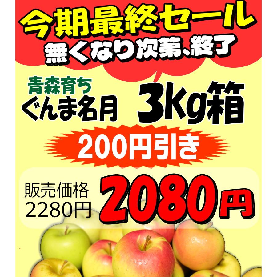 2280円⇒2080円！りんご 3kg箱 ぐんま名月 家庭用/訳あり 青森 リンゴ