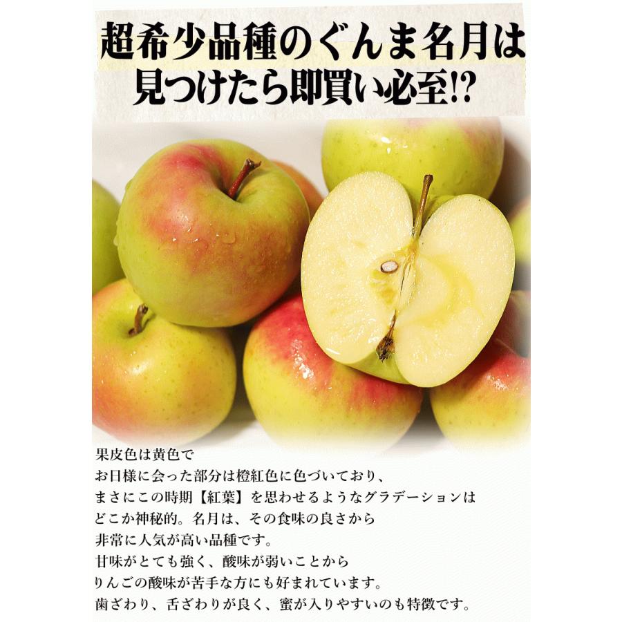 青森県産りんご【ぐんま名月】360.361.362家庭用3kg ✖️3箱同梱 楽天市場】即日発送！青森 りんご 3kg箱ぐんま名月 訳あり/家庭用 重量