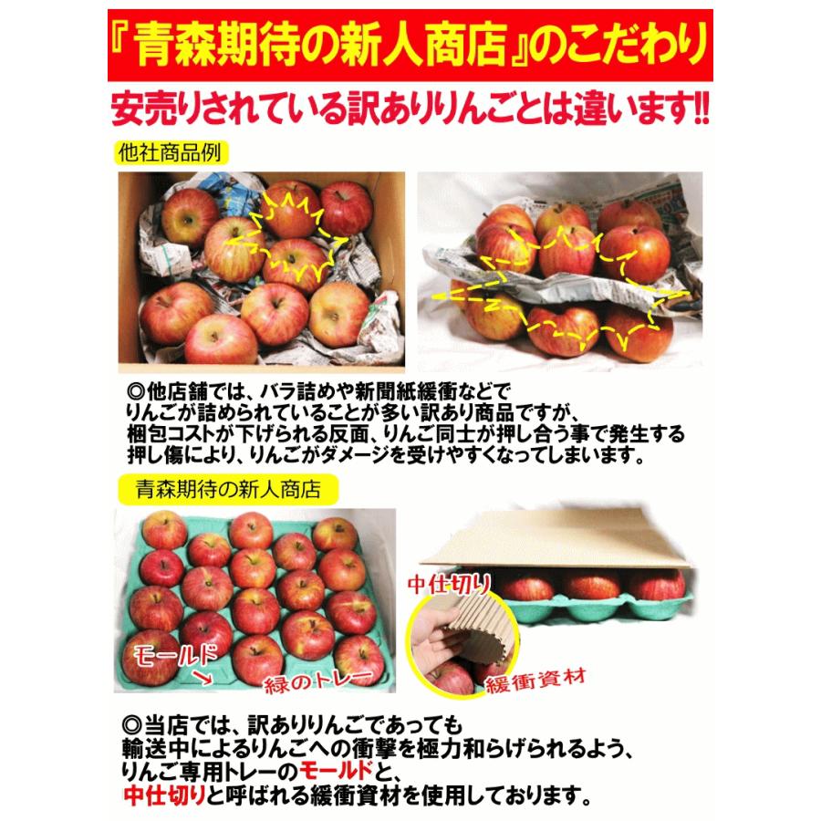 即日発送 青森 りんご 3kg箱 ぐんま名月 送料無料 家庭用/訳あり