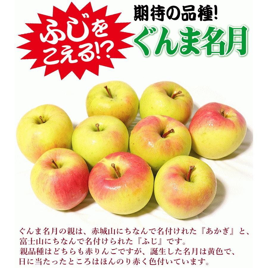 あすつく 青森 りんご 3kg箱 ぐんま名月 送料無料 家庭用/訳あり 青森 リンゴ 訳あり 3キロ箱★名月 家訳 3kg箱｜world-wand｜10