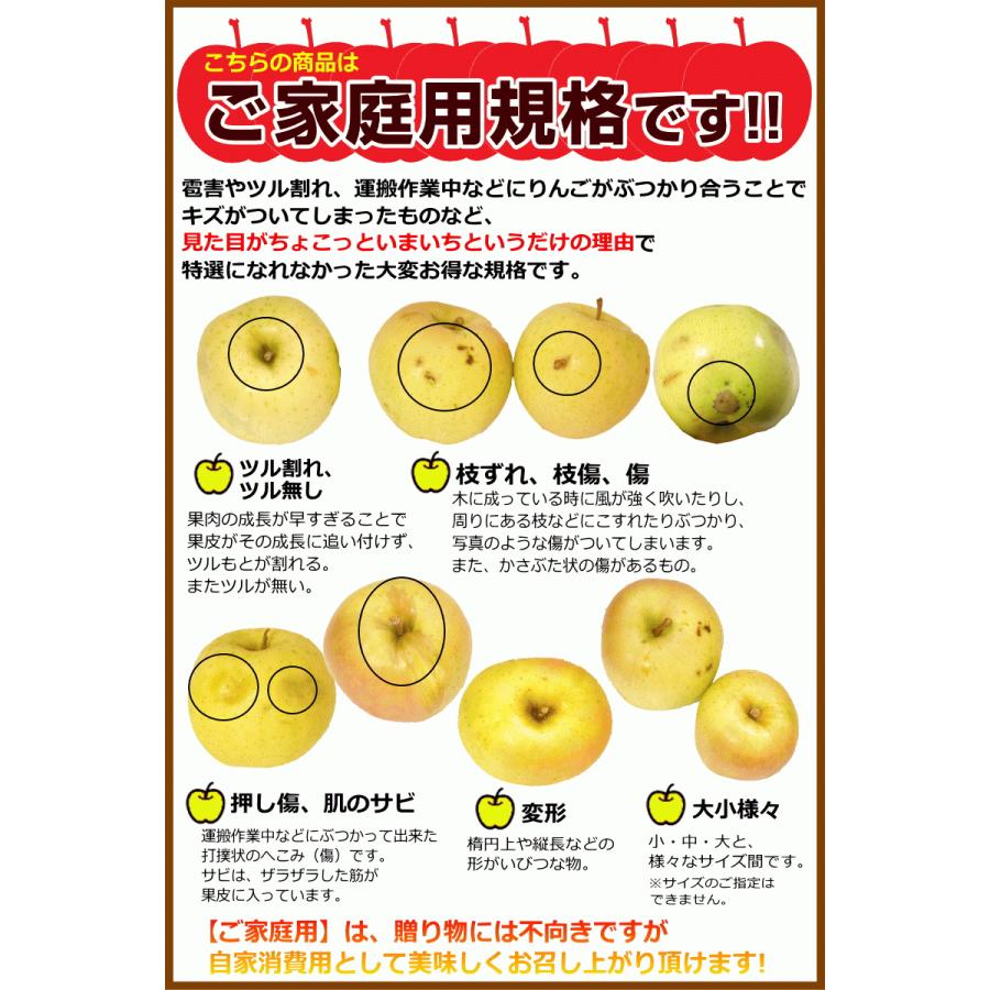 あすつく 青森 りんご 5kg箱 ぐんま名月 クール便　 送料無料 家庭用/訳あり 青森 リンゴ 訳あり 5キロ箱★名月 家訳 5kg箱｜world-wand｜12