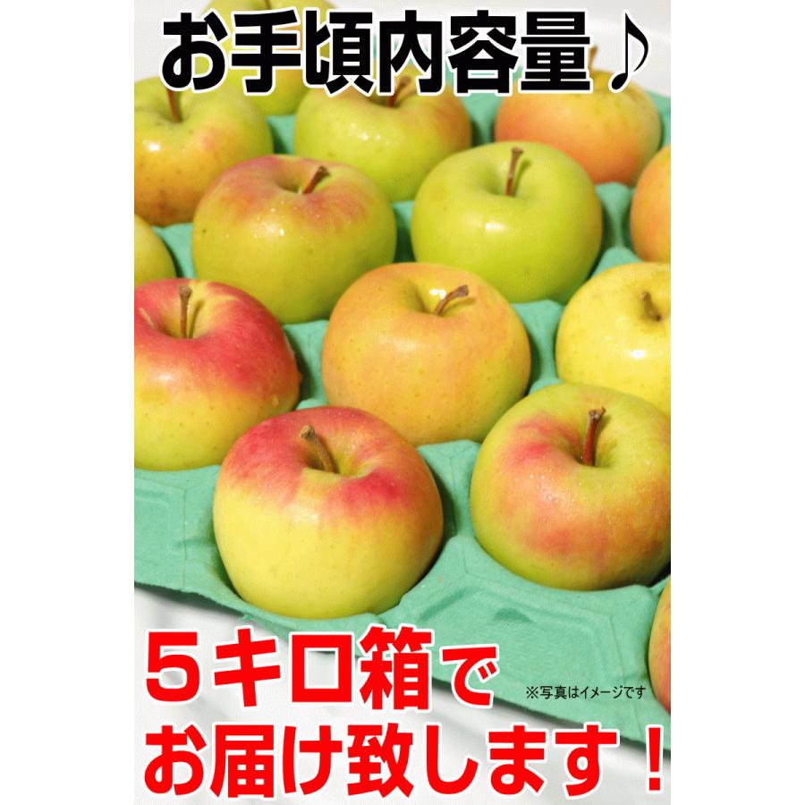 あすつく 青森 りんご 5kg箱 ぐんま名月 クール便　 送料無料 家庭用/訳あり 青森 リンゴ 訳あり 5キロ箱★名月 家訳 5kg箱｜world-wand｜06