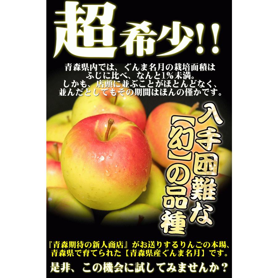 あすつく 青森 りんご 5kg箱 ぐんま名月 クール便　 送料無料 家庭用/訳あり 青森 リンゴ 訳あり 5キロ箱★名月 家訳 5kg箱｜world-wand｜08